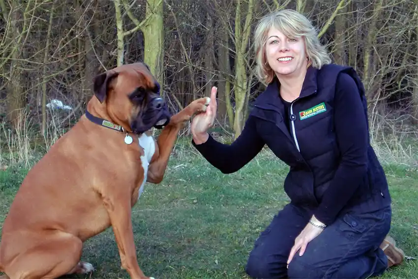 Dog Training Bedford by Lynn Prentice