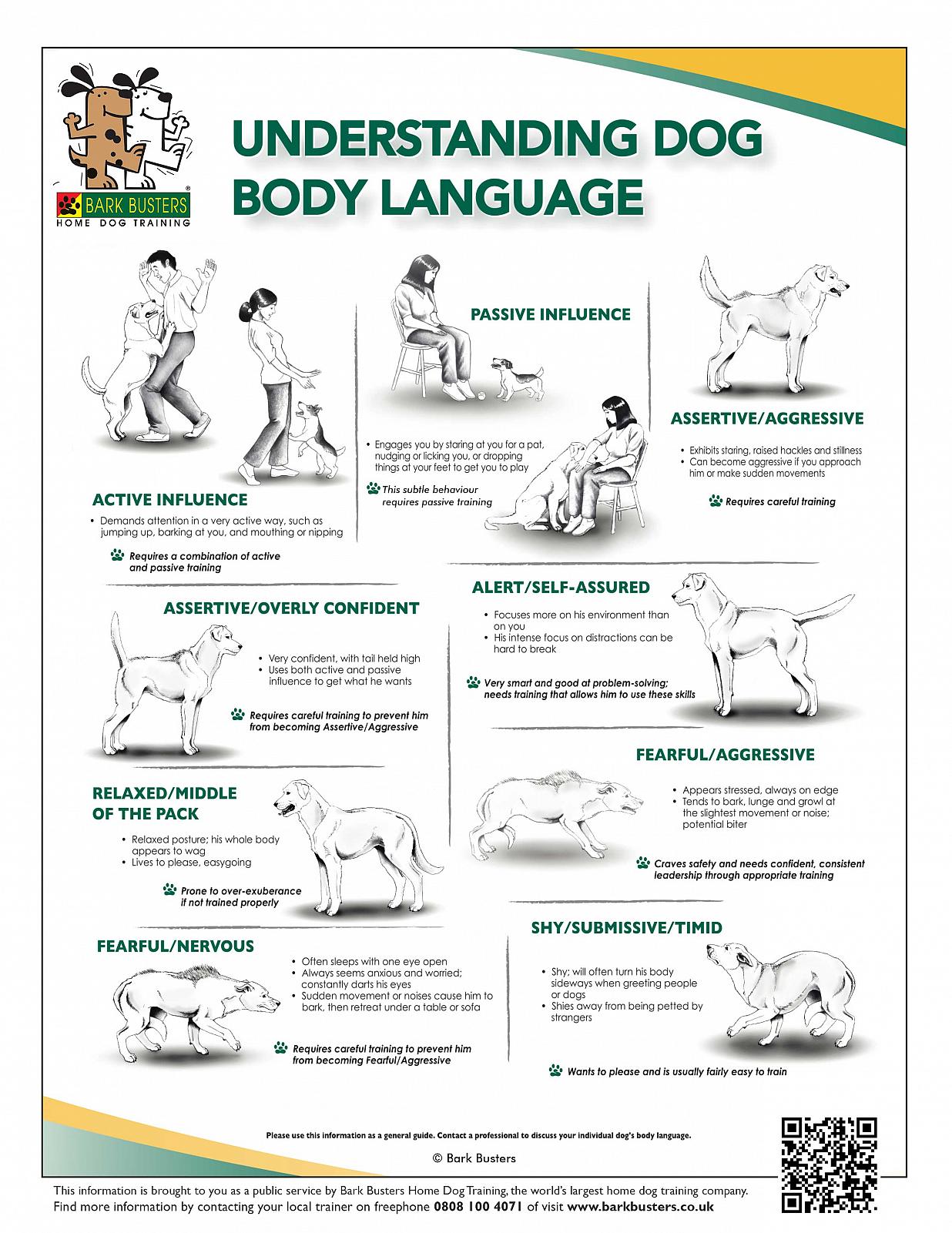 Understanding Dog Body Language Infographic