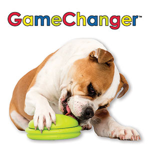 Keep Dog From Barking When Left Alone Keep Dog From Barking When Left Alone