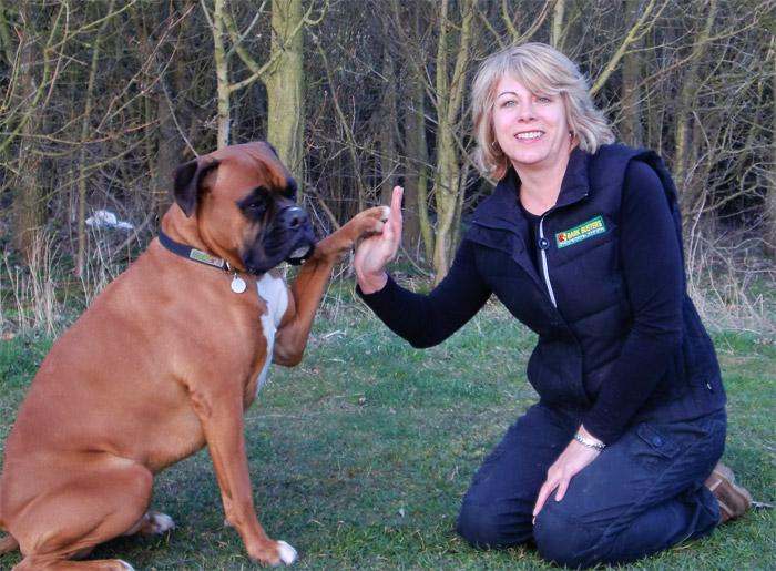 Lynn Prentice, Dog Obedience Trainer & Behavioural Therapist for Bedford & Milton Keynes
