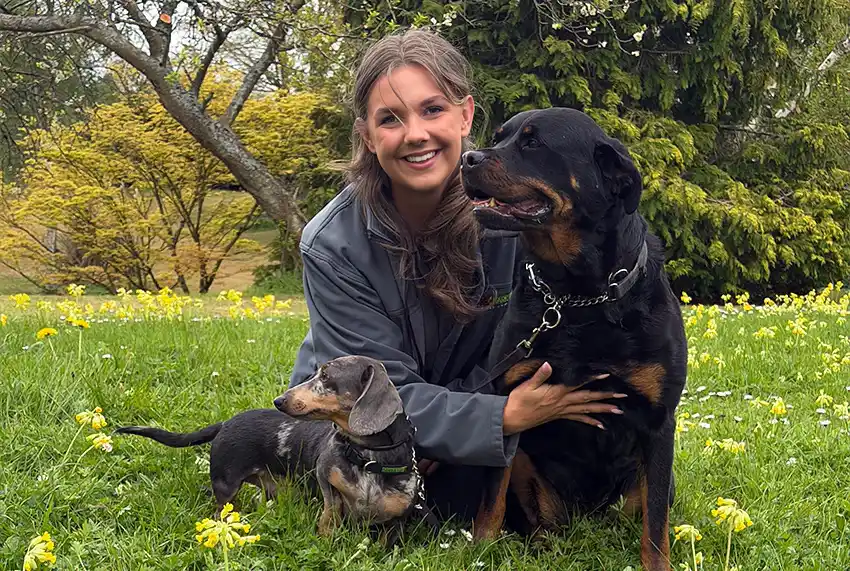 Bark Busters Dog Training Oxford & Banbury