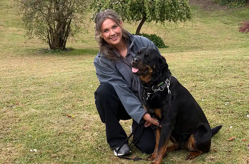 Puppy & Dog Training Oxford