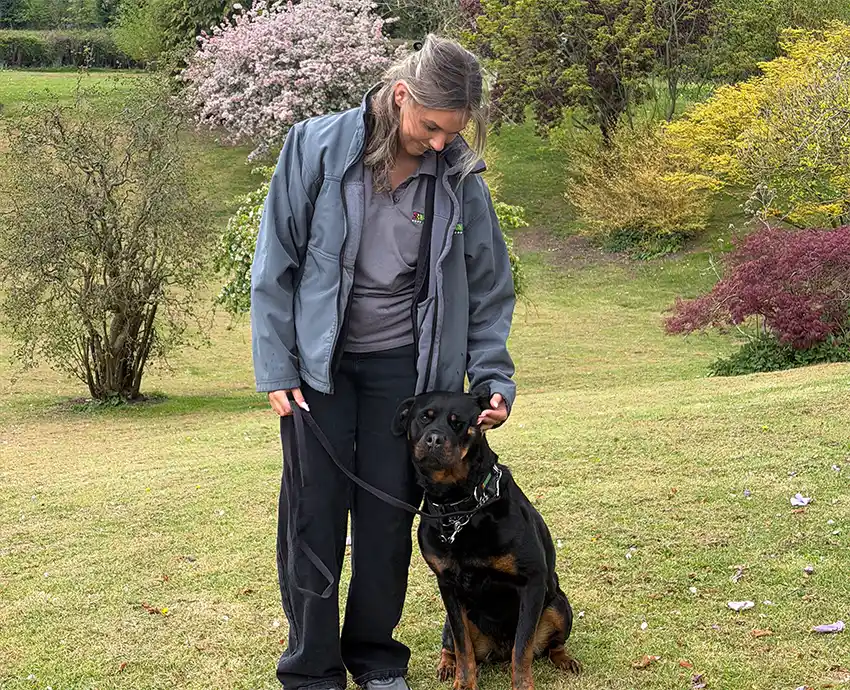 Bark Busters Dog Training Oxford