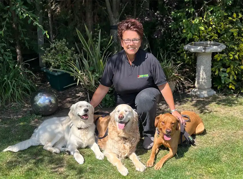 Dog training