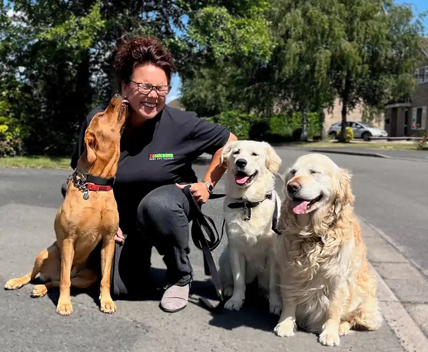 Kidderminster Dog Training - Kirsty Dudfield