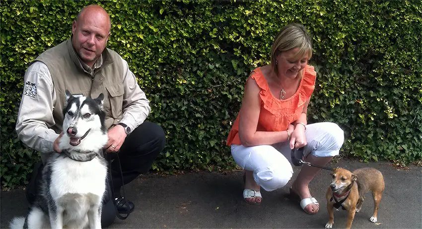 Home Dog Training Stoke on Trent & Puppy Behaviour