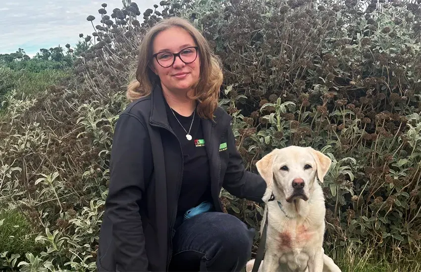 Home Dog Training Bromley & Bexley