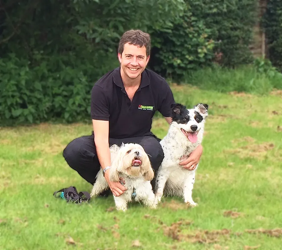 Home dog training Manchester Central