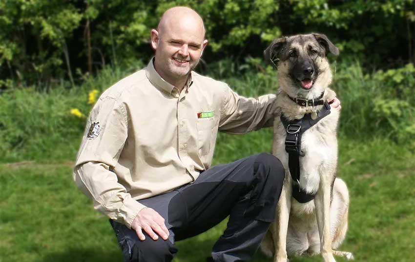 Home Dog Training Macclesfield & Manchester South