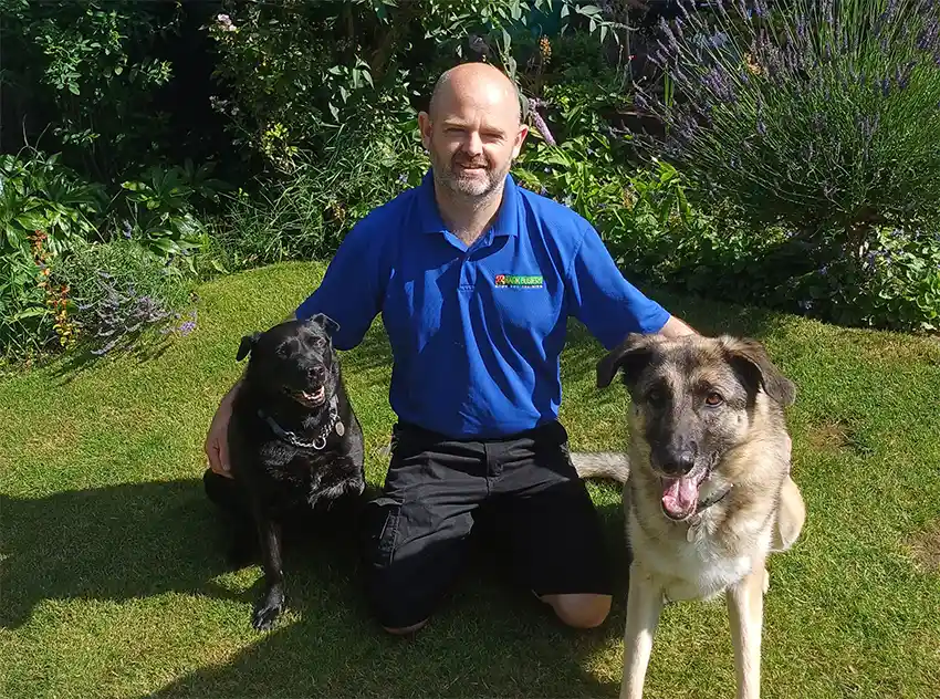 Home Dog Training Wilmslow & Puppy Education