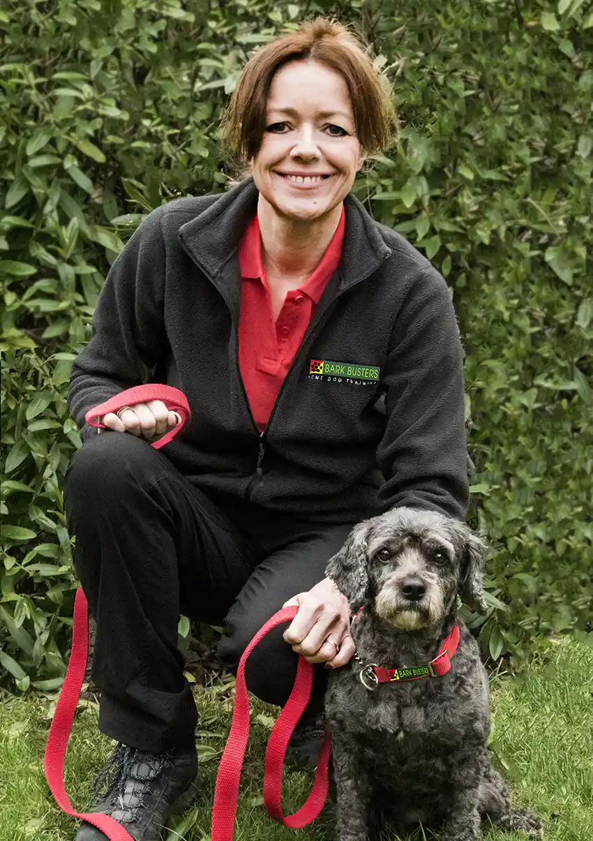 How Much Does Bark Busters Cost? | PawsHug