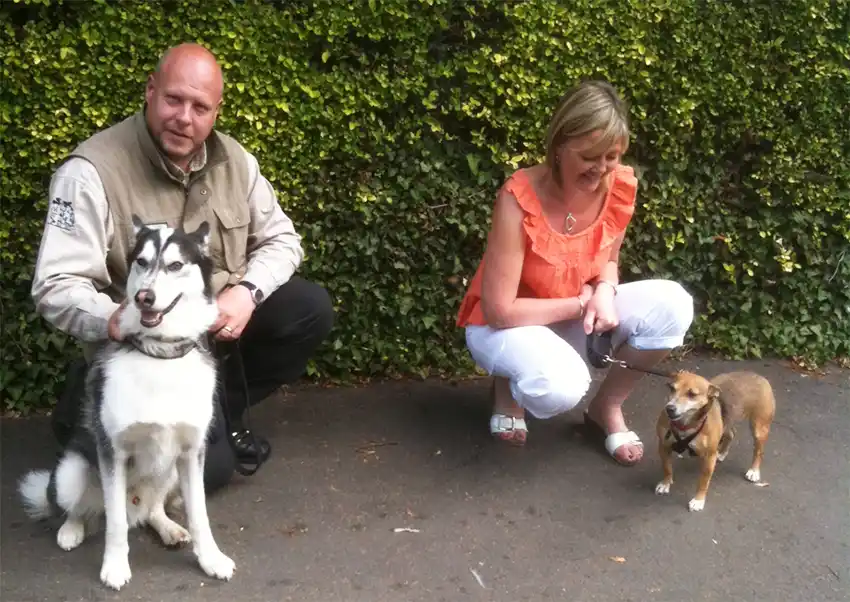 Home Dog Training Stoke on Trent & Puppy Behaviour