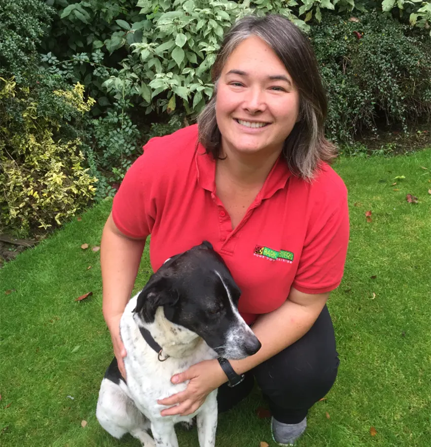 Home dog training Sunderland & puppy education