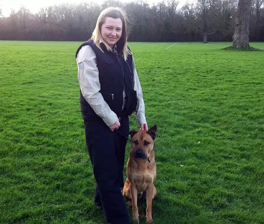 Dog Training Eastbourne