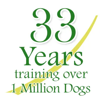 Bark Busters Dog Training