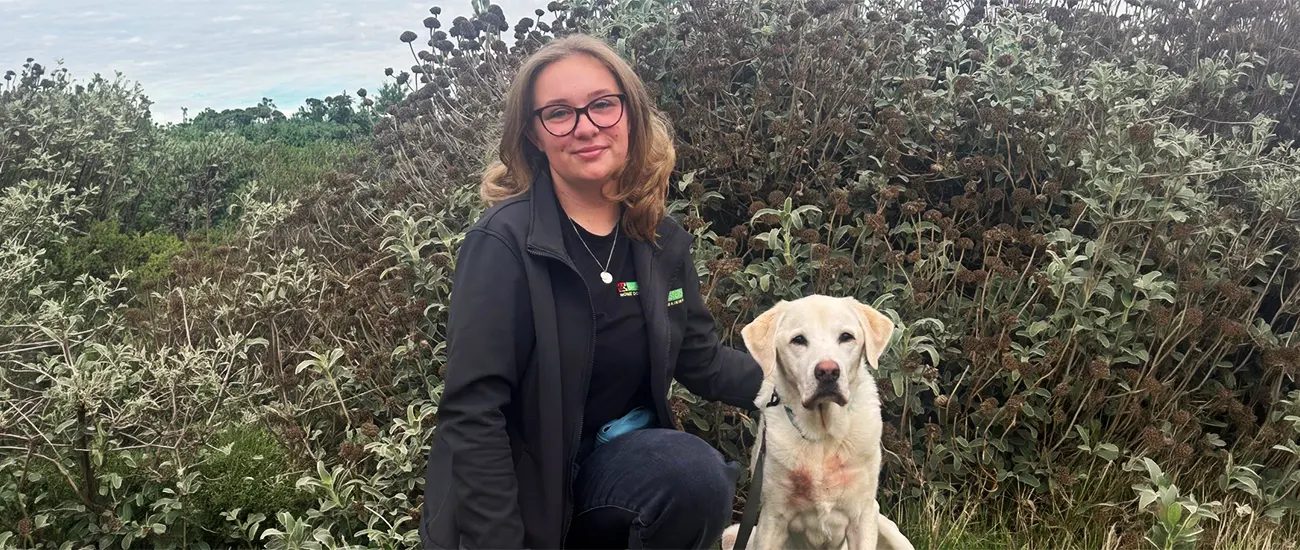 Dog Training Dartford & Puppy Training