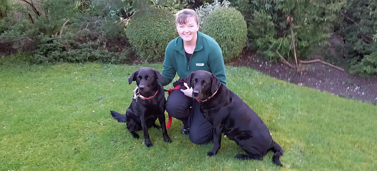 Home Dog Behaviour Training Newport