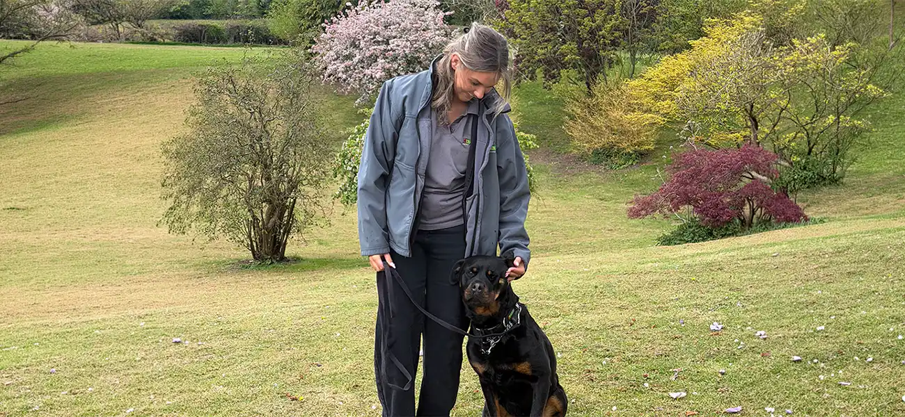 Bark Busters Dog Training Oxford