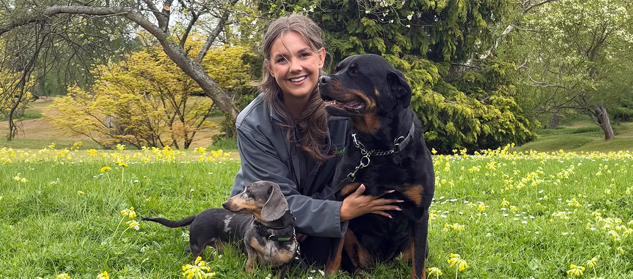 Bark Busters Dog Training Oxford