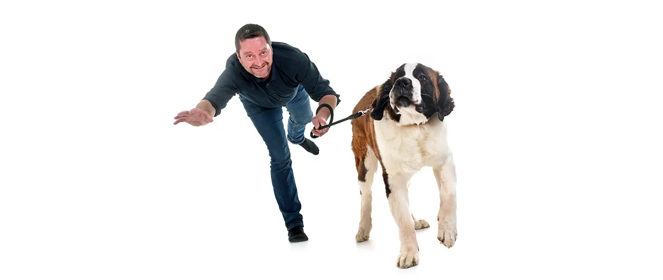 Lead Pulling Training Plymouth