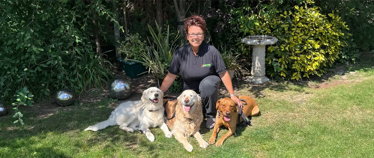 Home Dog Behaviour Training Solihull