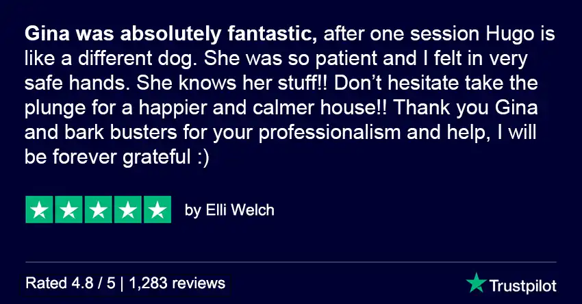 Trustpilot Review Gina