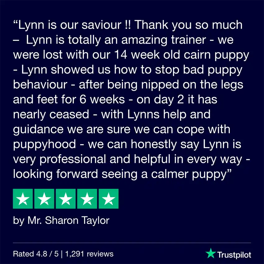 Review Lynn