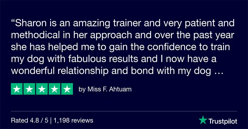 Trustpilot Review Sharon Chapman