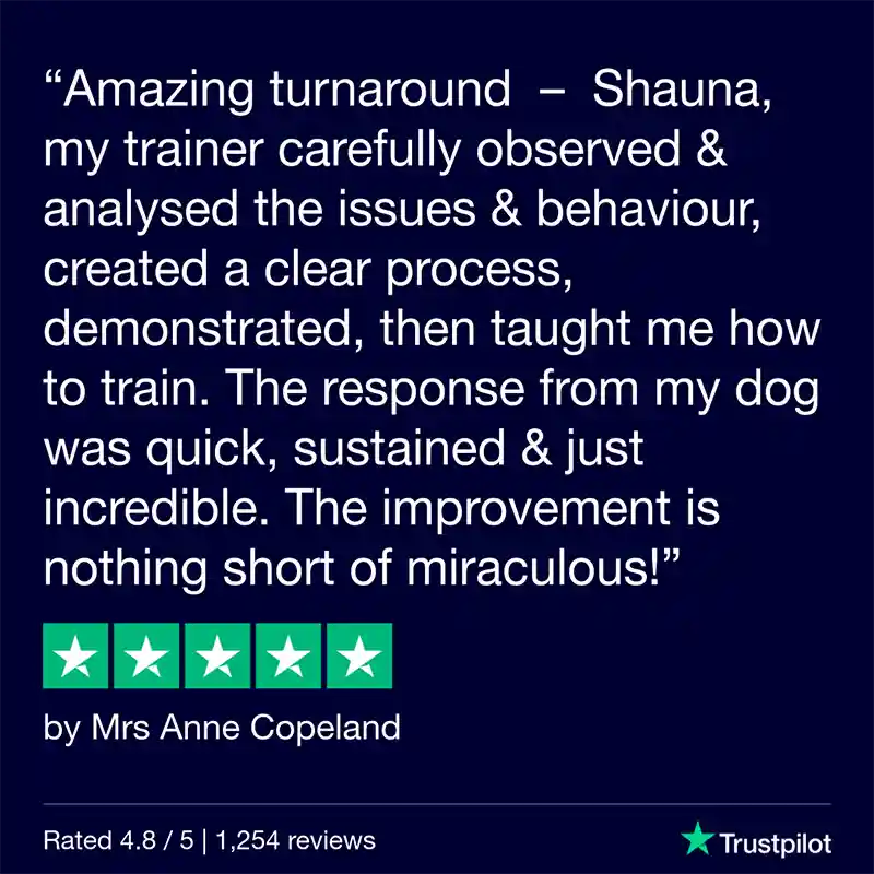 Trustpilot Review Shauna Hoey