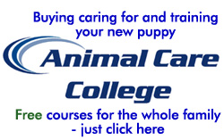 Animal Care College