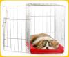 Crate Training