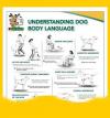 Understanding Dog Body Language