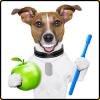 Pet & Dog Dental Health Month