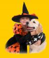 Halloween - Don't let the fright turn to a bite