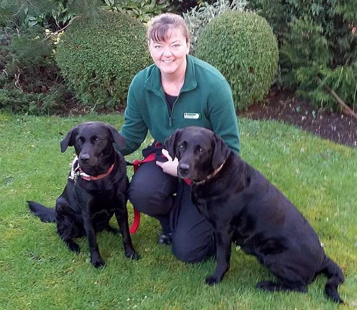 Gina Hinsley, Dog Obedience Trainer & Behavioural Therapist for Bath, Bristol, Gloucester, Newport & East Valleys, Swindon