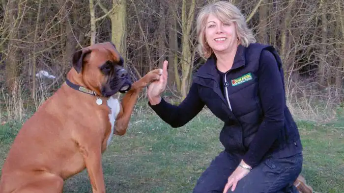 Lynn Prentice, Dog Obedience Trainer & Behavioural Therapist for Bedford & Milton Keynes, Enfield & Barnet, Harlow, Harrow, Uxbridge & Wembley, Luton & Stevenage, North London, Watford & St. Albans