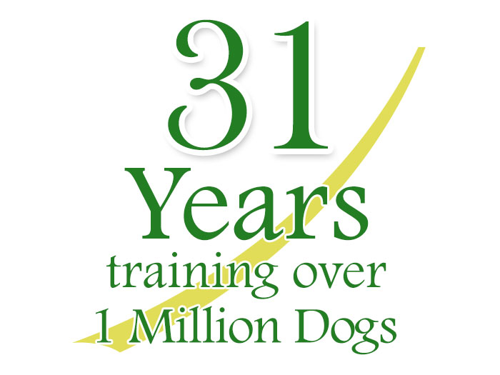 31 years helping millions of dogs