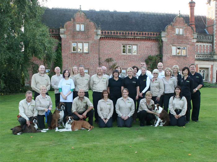 Consider becoming a dog trainer