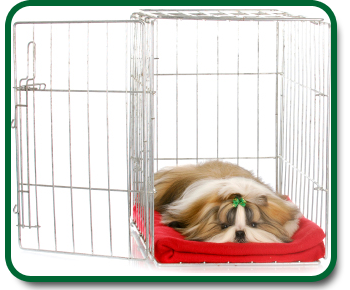 Puppy Crate - Safe Place