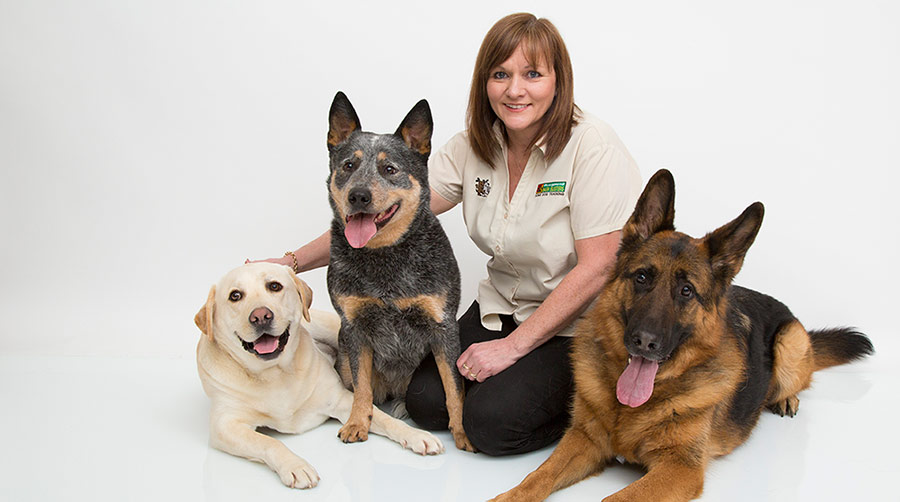 service dog training at home