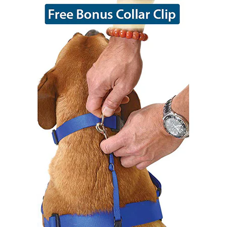 WaggWalker Dog Training Harness - Image 7