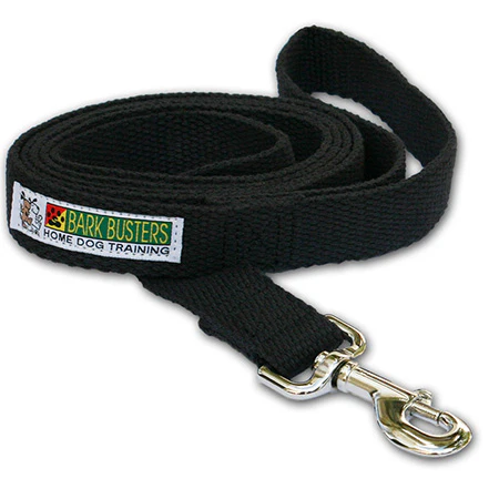 Dog Training Lead - Black 6ft