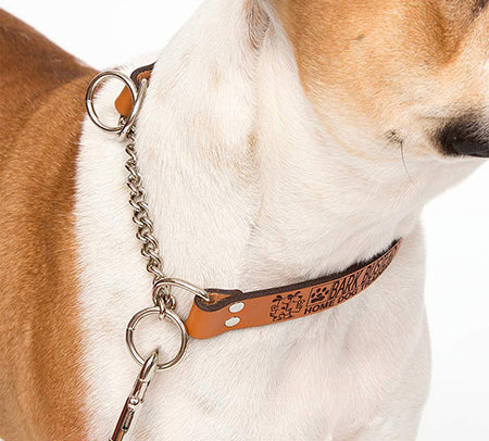 Communication Dog Training Collar
