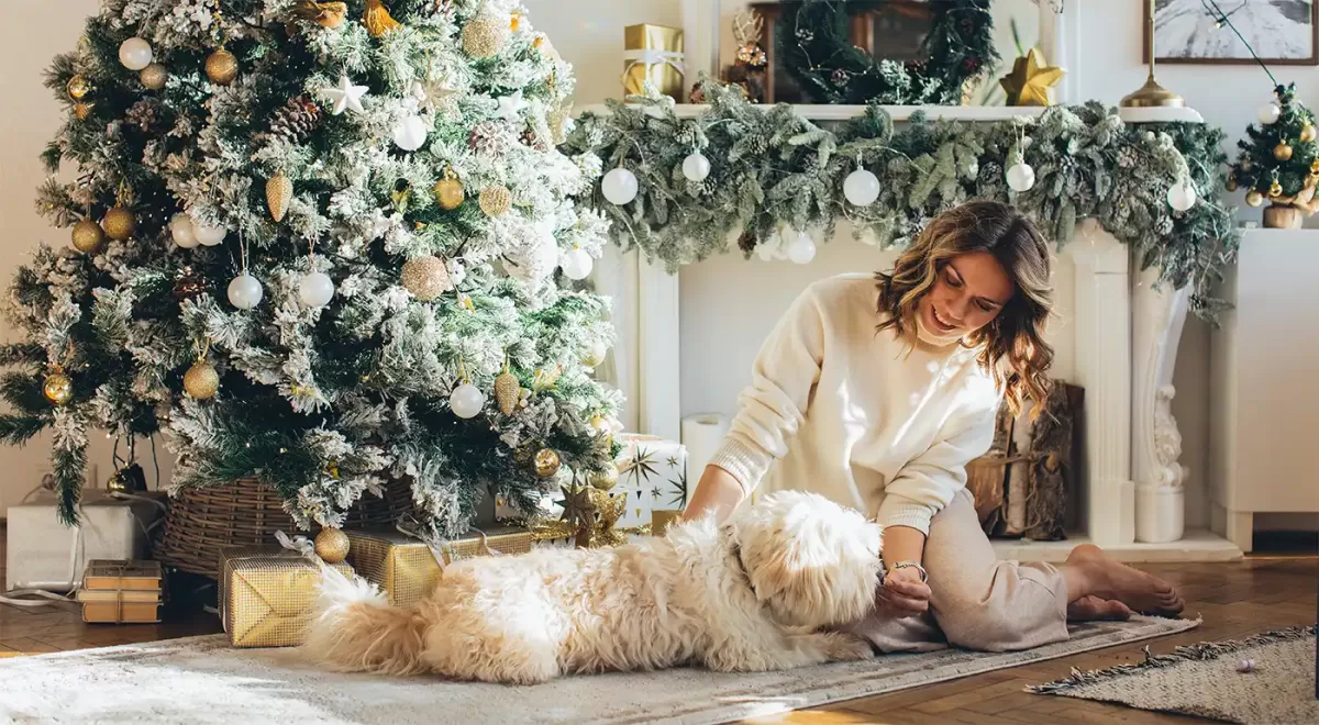 Keeping your dog safe during Christmas