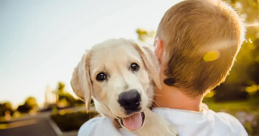 Pet Theft Awareness Week UK